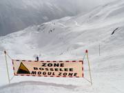 Mogul slope in the ski area