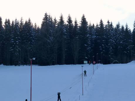 Erzgebirgs County: Test reports from ski resorts – Test report Rölzhang – Wildenthal