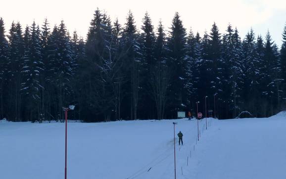 Skiing in Wildenthal