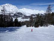 Valley run to Surlej