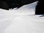 Always well-groomed: slopes on the Postwiese