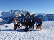 Photo point with the Hochkönig