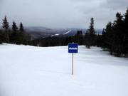 Start of a mogul slope