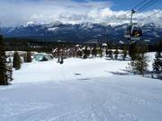 Grizzly Paw downhill run