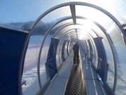 Conveyor belt Palabione