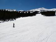 Pioneer downhill run