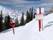 Open terrain for experts