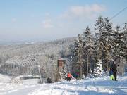 Steinbrinklift I - T-bar