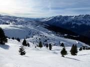 Freeride terrain at Passo S. Antonio