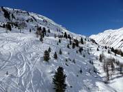 Freeride mountain Gaislachkogl in the lower section