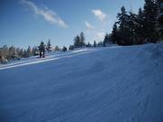 From the summit of Steinbrink, a steeper slope leads down into the valley.