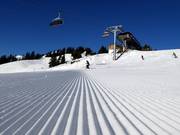 Freshly groomed Schrödelstein run