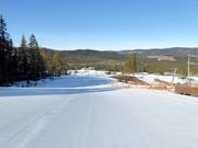 Easy slope Tusseparken