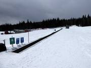 Conveyor belt for the whole family