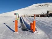 Magic Carpet (one of many in the ski area)
