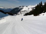 Giltsteina downhill run