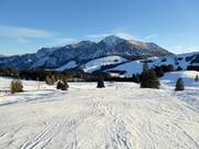 Easy panoramic slope