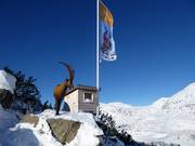 Tip for children  - Sector 02: Jägerpfad 