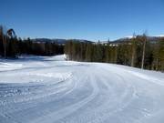 Easy ski paths to the holiday homes