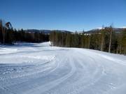 Easy ski trails to the holiday homes