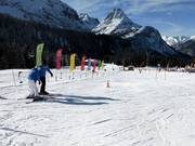 Beginner area on the Ehrwalder Alm