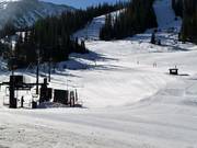 Beginner area at the Molly Hogan lift