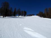 Watles downhill run in the lower section (valley run)
