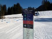 Cross-country ski trails at Monte Pana