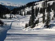 Valley run towards Bad Mitterndorf