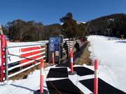 Wombats Snow Runner - People mover/Moving Carpet