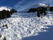 Mogul slope at the Steinmannbahn