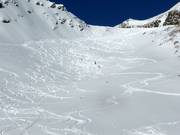 Ungroomed, unsecured ski area