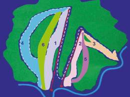 Trail map Zolotaya Gora