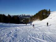 Easy slope Autobahn with Sender Express