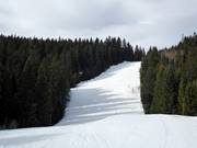 Intermediate slope in the Igman ski area
