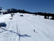 Valley run Laucheren