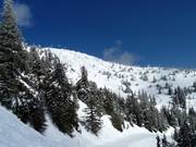 View of the Falcon Glades