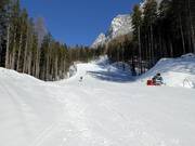 The Racing-S (FIS slope)