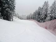 Ciastel downhill run