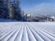 First-class slope grooming at Szczyrk Mountain Resort