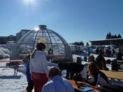 Trendy umbrella bar at Seebuck