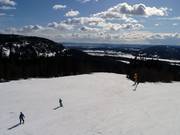 Downhill Wyllerbakke 1