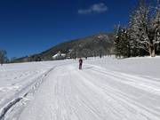 Easy slope from the Zauberlift to the Bergkristalllift
