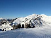 View towards Grand Chamossaire