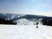 Winkel lift slope with gorgeous panorama of the southern Black Forest