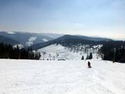 Winkellift slope with a breathtaking panorama over the Southern Black Forest