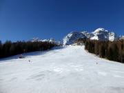 Intermediate slope Cristelin