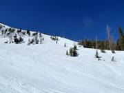 Highway downhill run