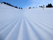 Freshly groomed slope at Sudelfeld