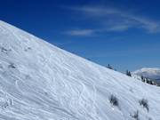 Powder slopes of the Riesneralm